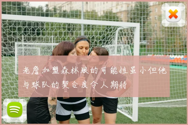 老詹加盟森林狼的可能性虽小但他与球队的契合度令人期待